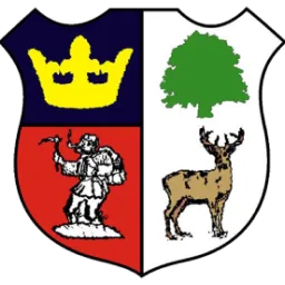 Cinderford Town Association Football Club